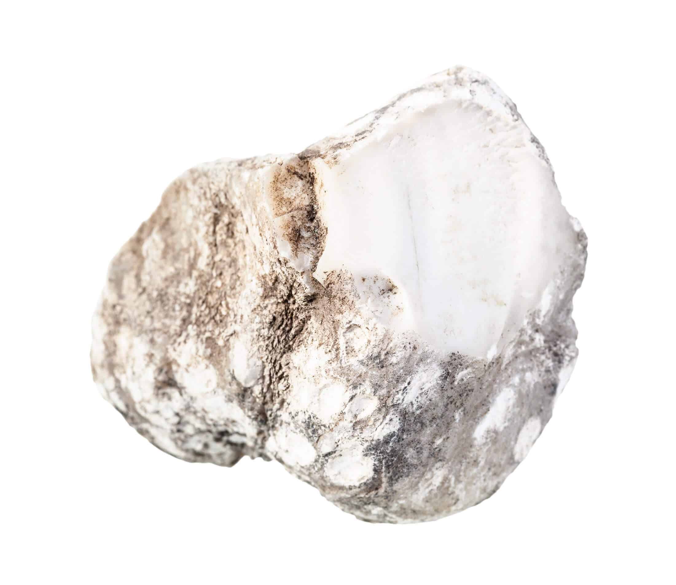 Bracelet en Nacre beige naturel