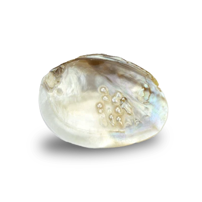 Bracelet en Nacre beige naturel